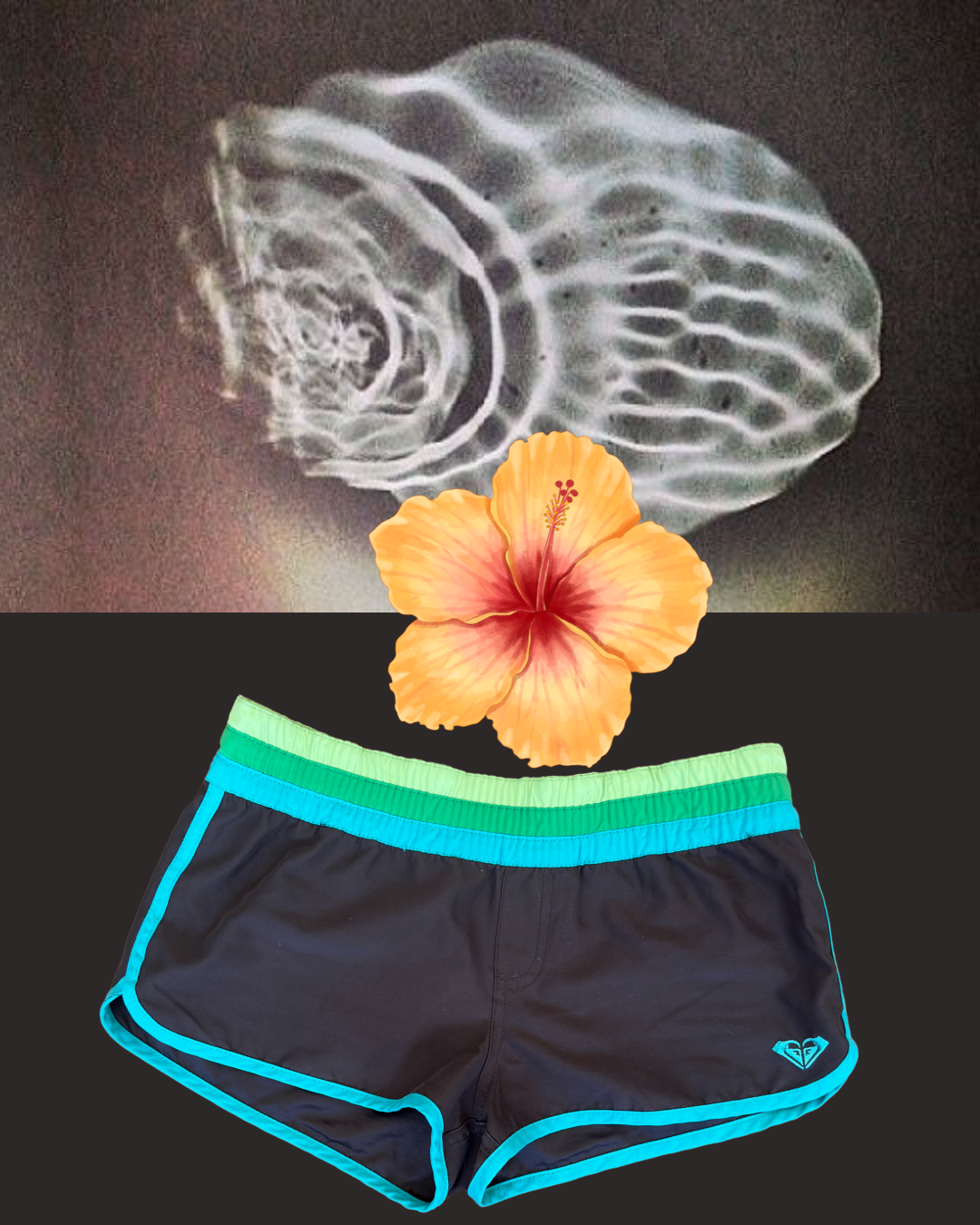 Vintage Roxy Shorts